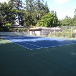Tennis Court Gallery 12
